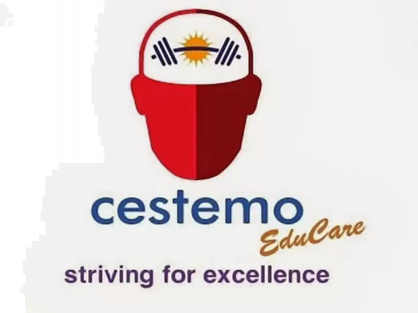 Cestemo Educare Pvt Ltd 