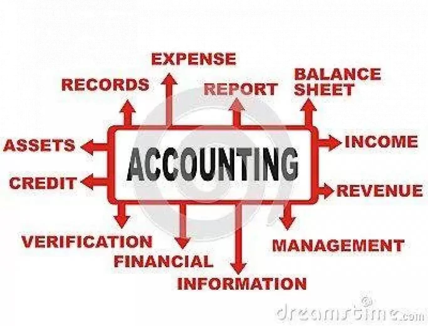 Ready Accountant 