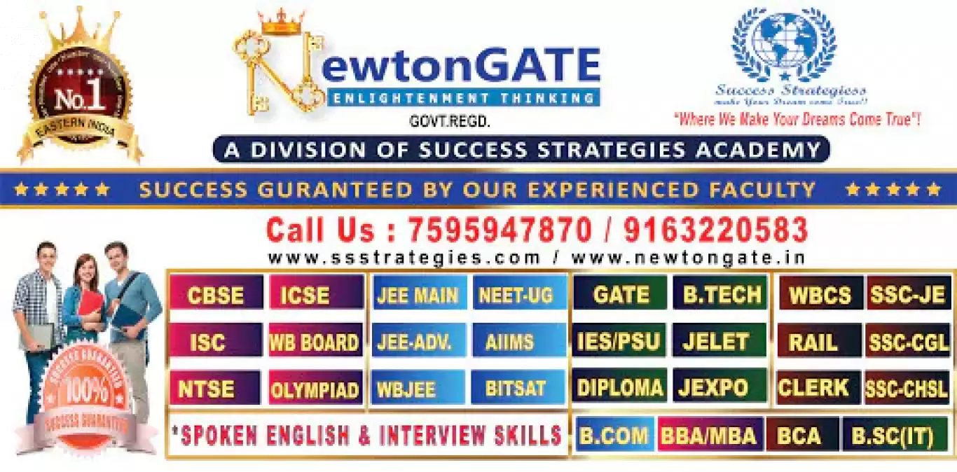 Newtongate Success Strategies Academy 