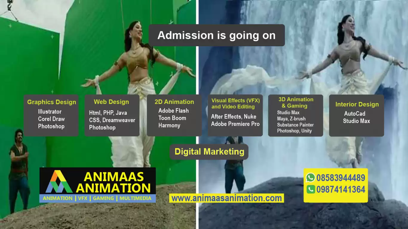 Animaas Animation Institute 