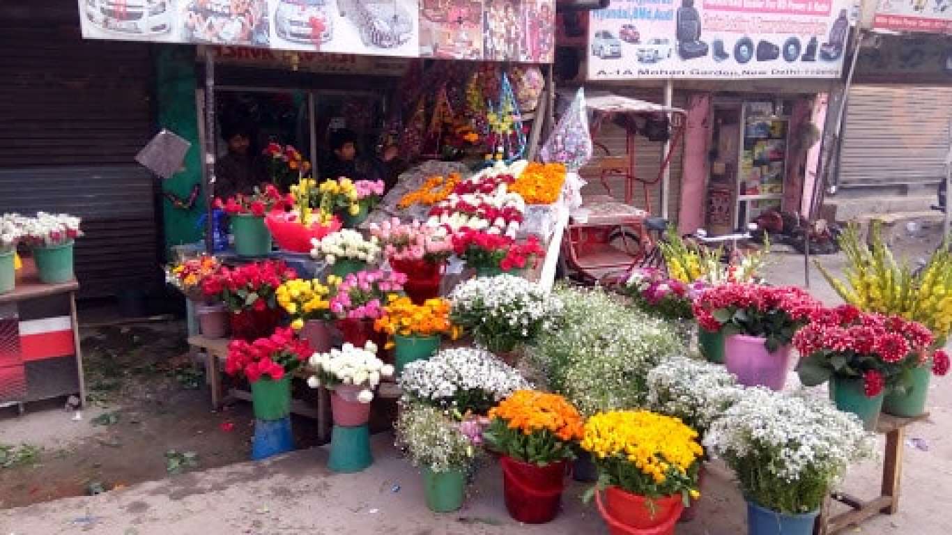 Ashok Flowers  Decorators 