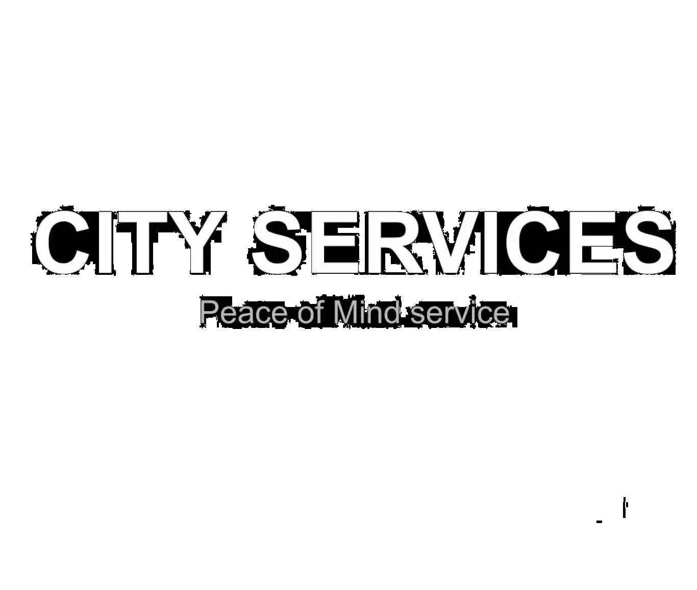 City Services 