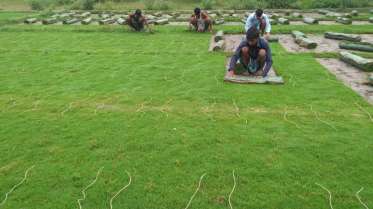 Dutta Nursery  Exterior