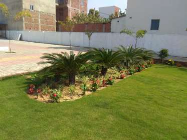 Green Valley Farm  Nursery