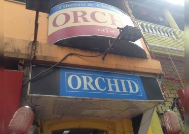 Orchid Restaurant 