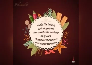 Baraf Bar  Babumashai Restaurants  THE LAST METR