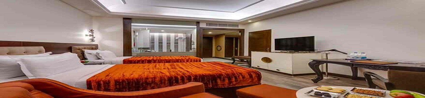 Hotel Hindusthan International 