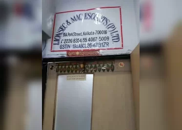 Lionsec  Mac Escorts Pvt Ltd 