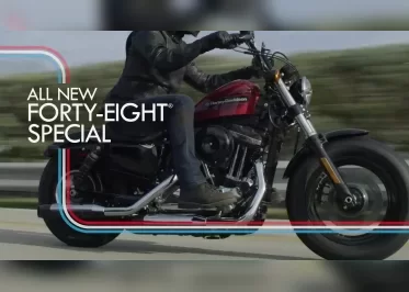 Bengal Harley Davidson 